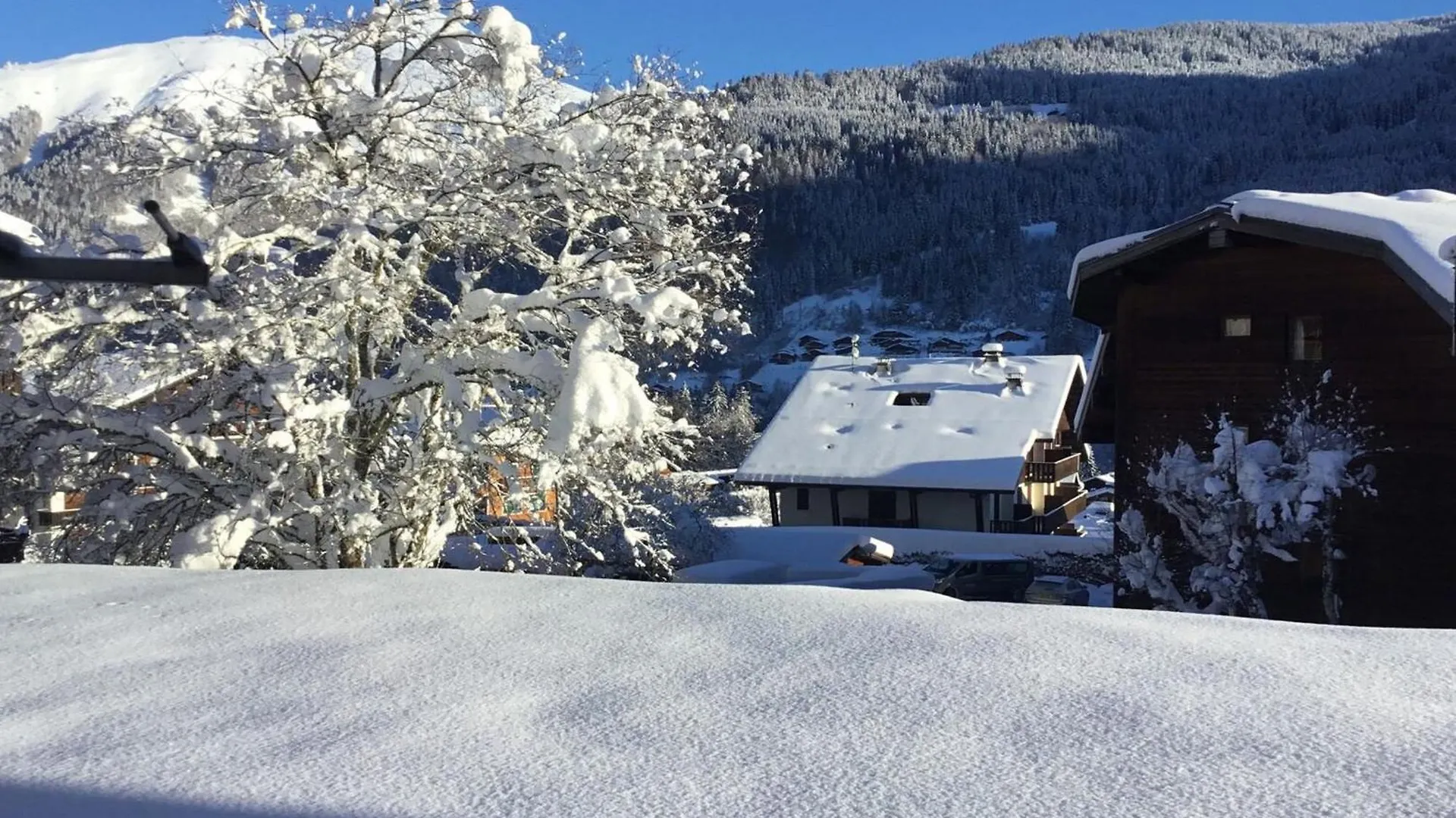 Morzine : Appartement 3P, 55M², Proche Centre, Navette & Pistes, 4 Pers, Parking, Animaux Admis - Fr-1-754-86 0*,  France
